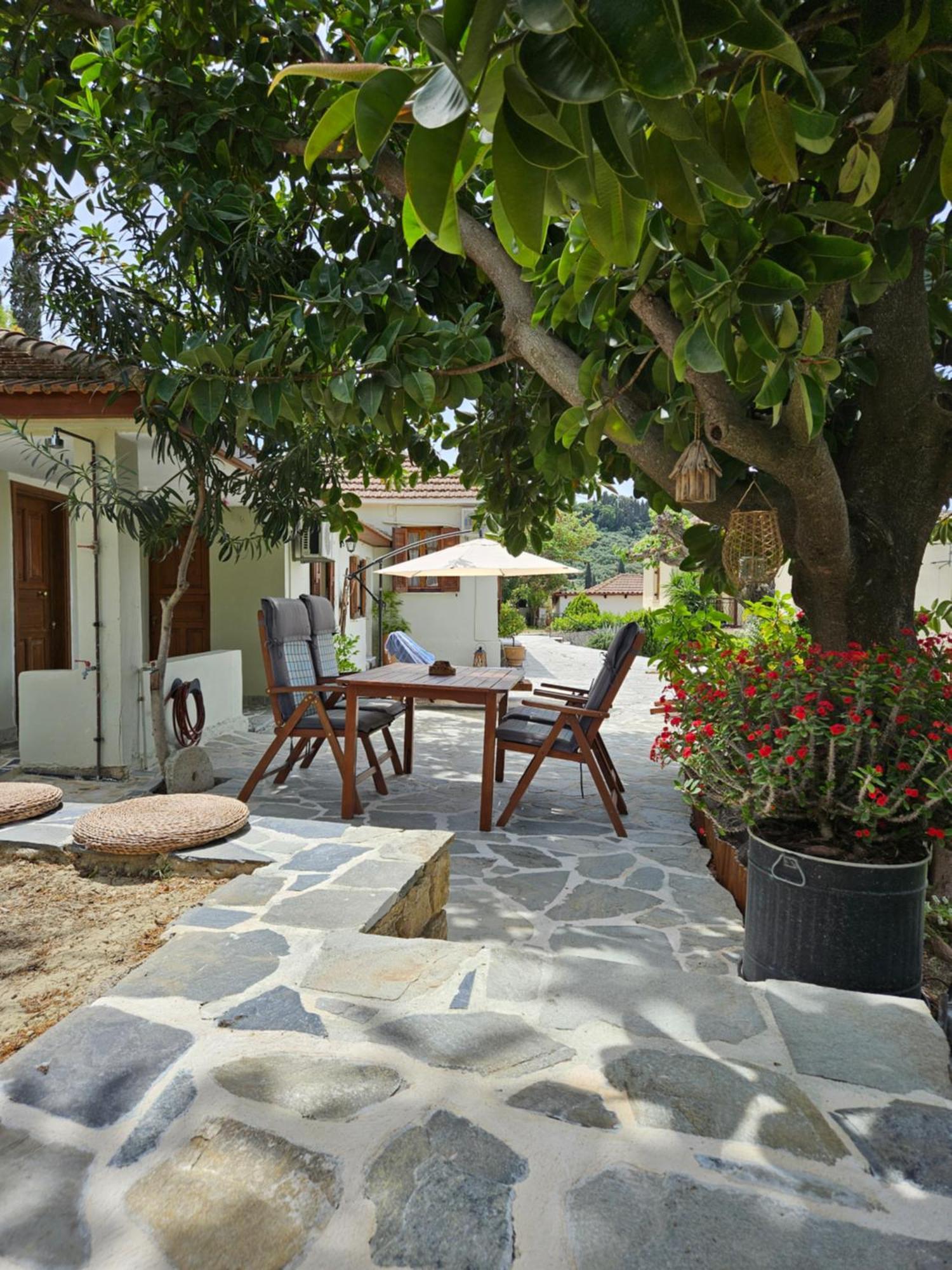 Kymanemi Zakynthos Cottage House Áno Yerakaríon Dış mekan fotoğraf